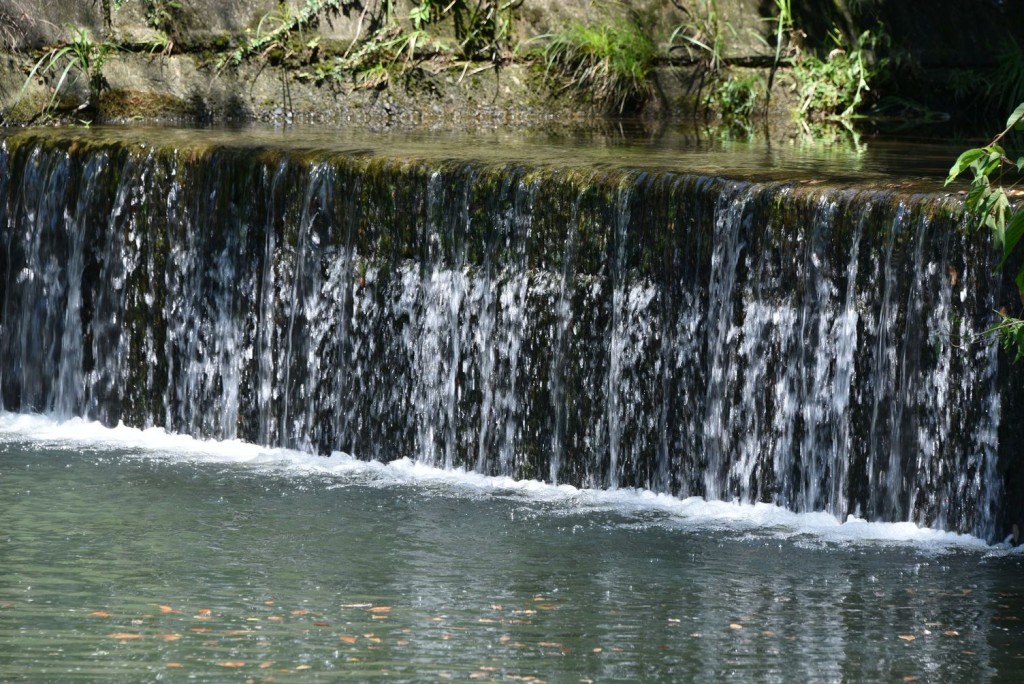 ①NDなし1-100F8