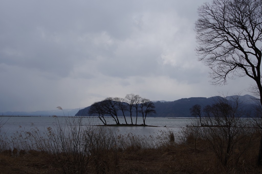 IMGP0144