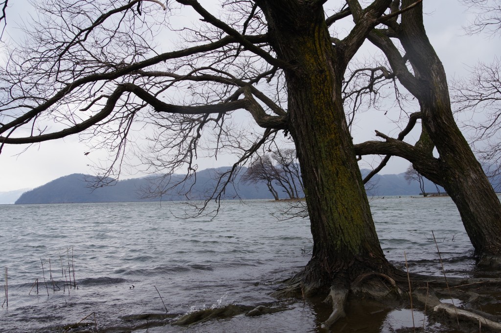 IMGP0153