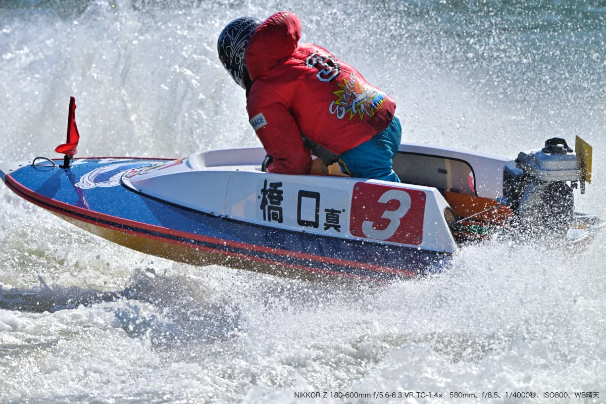 A13.webp