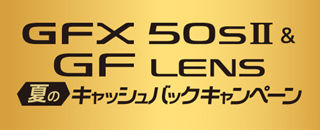 gfx-22s.jpg
