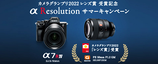 sony-22s.jpg