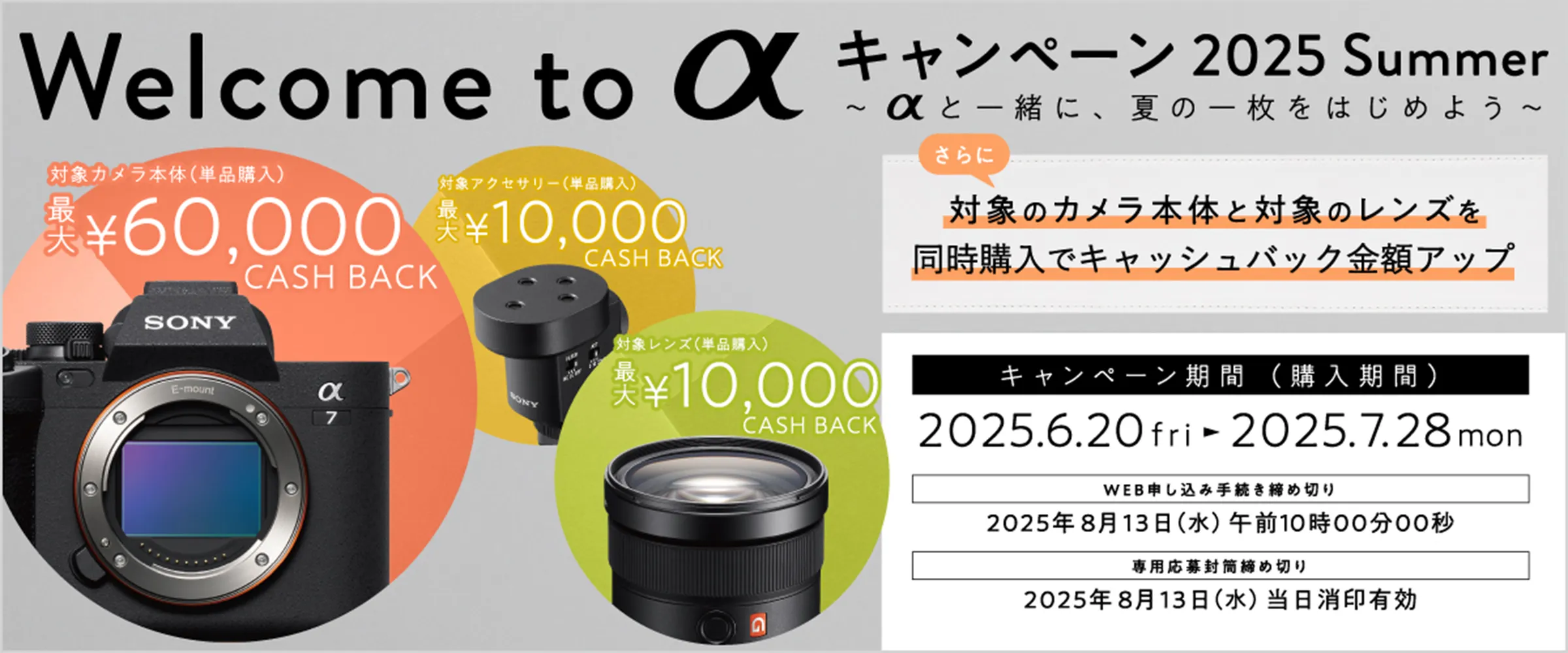 sonyACB.webp