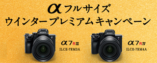 sonywinter-a.jpg